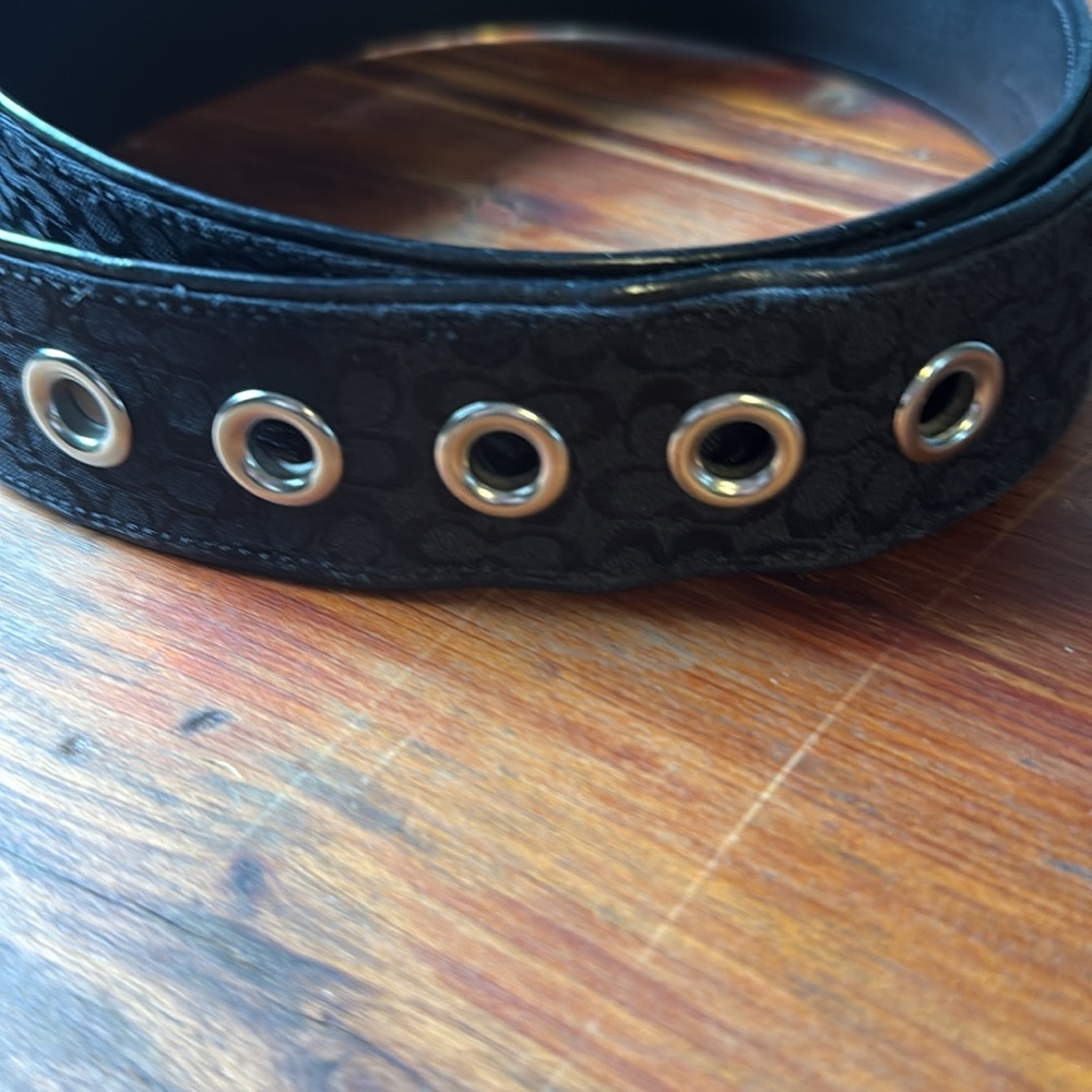 Coach belt - Picture 2 of 6